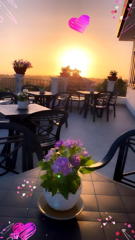 B & B Vilenia San Nicola Arcella Exterior foto
